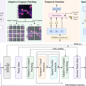 AI for Universal Flow Physics: Continuum Dynamics with Foundation Models